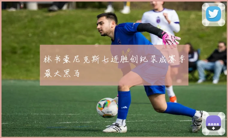 林书豪尼克斯七连胜创纪录成赛季最大黑马