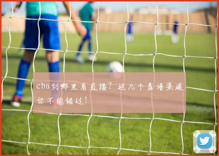cba到哪里看直播？这几个靠谱渠道你不能错过！