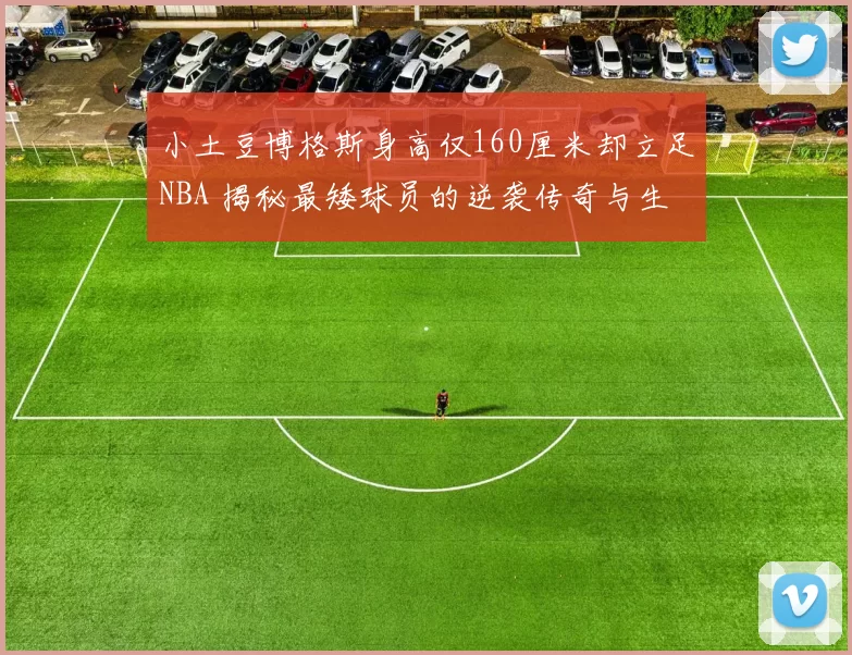 小土豆博格斯身高仅160厘米却立足NBA 揭秘最矮球员的逆袭传奇与生存之道