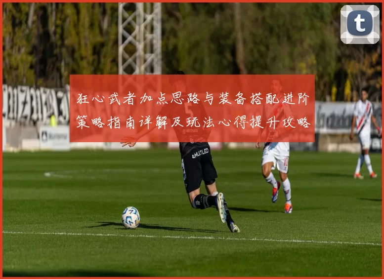 狂心武者加点思路与装备搭配进阶策略指南详解及玩法心得提升攻略