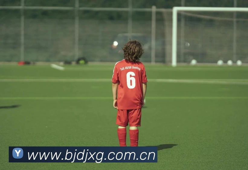 leyu体育官网服务体系